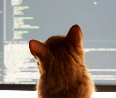 a cat sitting in front of a computer monitor