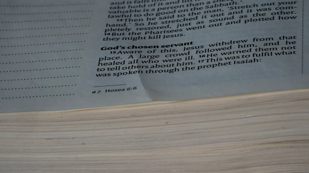 a close up of a book with an open page