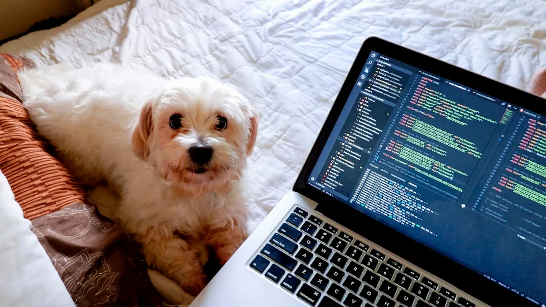 a dog lays on a bed next to a laptop